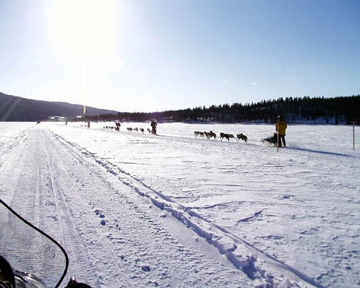 PIC00007