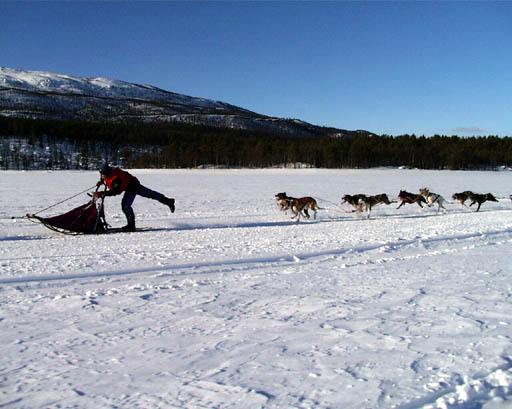 PIC00008