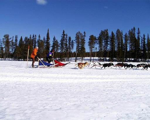 PIC00029