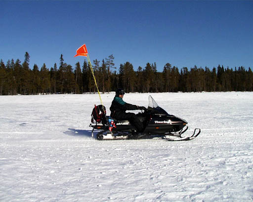 PIC00031