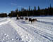 PIC00011