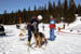 AUT_2623