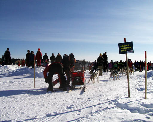 PIC20001