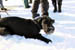 AUT_2721