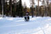 AUT_2738