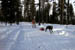AUT_2739