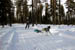 AUT_2740