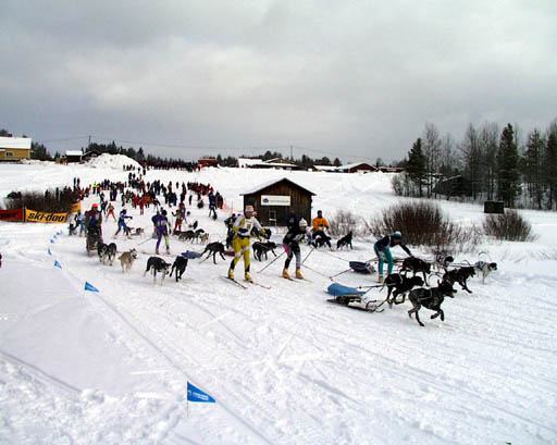 PIC20002