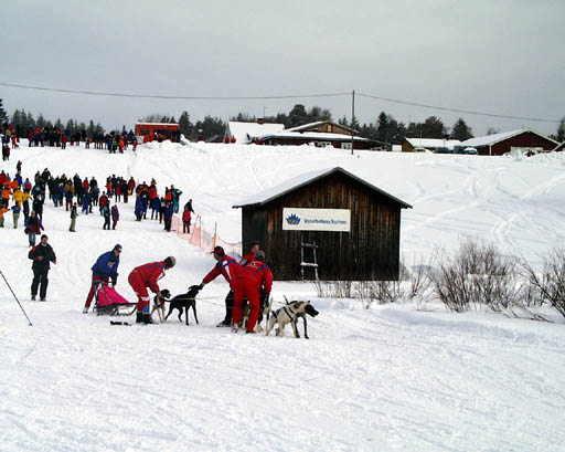 PIC20003
