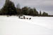 AUT_2823