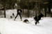 AUT_2835