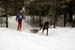AUT_2836