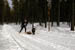 AUT_2868