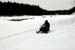 AUT_2977