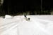 AUT_2981
