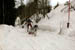 AUT_2987