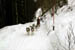AUT_2988