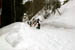 AUT_2990