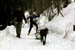 AUT_2993
