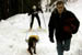 AUT_2995