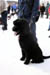 AUT_3043