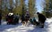 DSCN0945