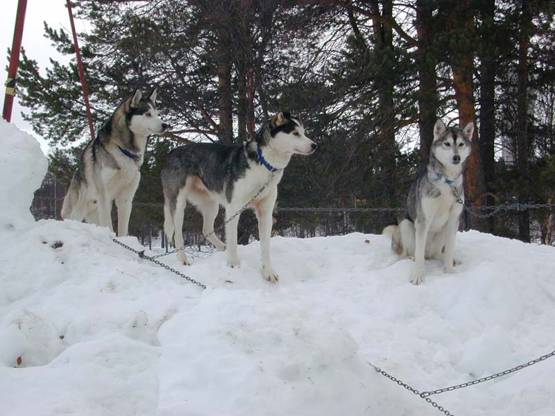 DSCN5191