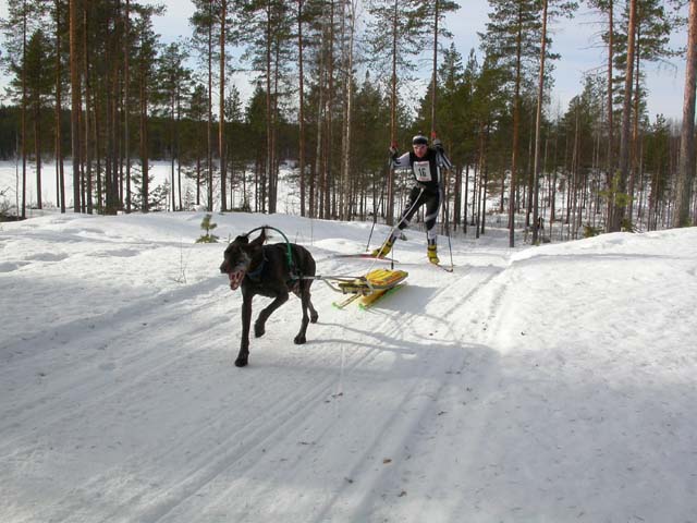 DSCN5372