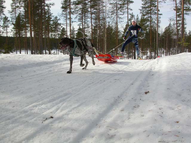 DSCN5382