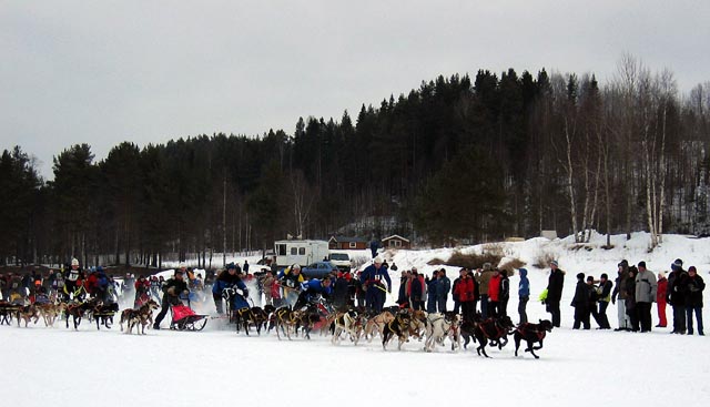 IMG_0374