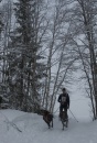 DSC_4372 * 1767 x 2583 * (3.67MB)