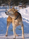 IMG_2994 * 1704 x 2272 * (1.52MB)