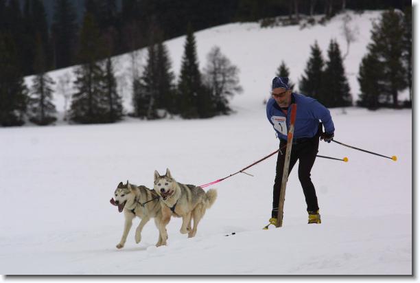 N�sta bild