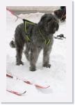 IMG_5912 * 1440 x 2160 * (1.72MB)