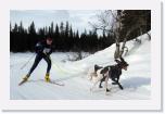 IMG_5530-mod * 1456 x 936 * (1.07MB)