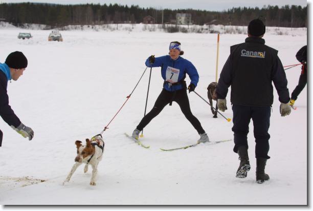N�sta bild