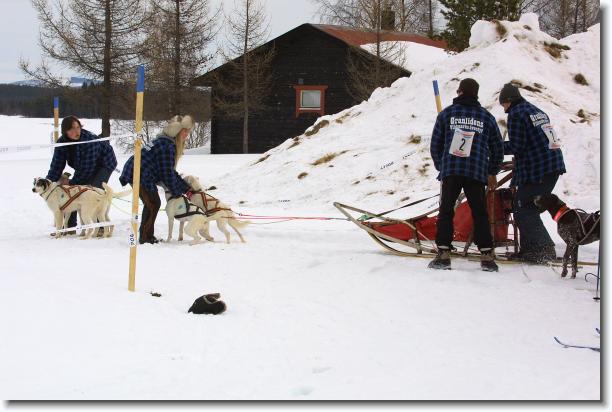 N�sta bild