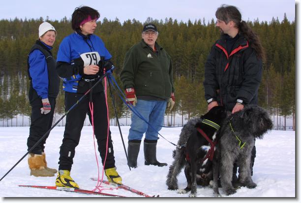 N�sta bild