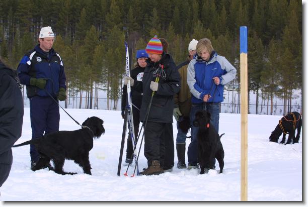 N�sta bild