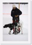 IMG_6227 * 1440 x 2160 * (2.44MB)