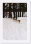 IMG_6271 * 1440 x 2160 * (2.75MB)