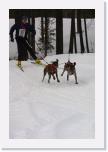 IMG_6274 * 1440 x 2160 * (2.64MB)