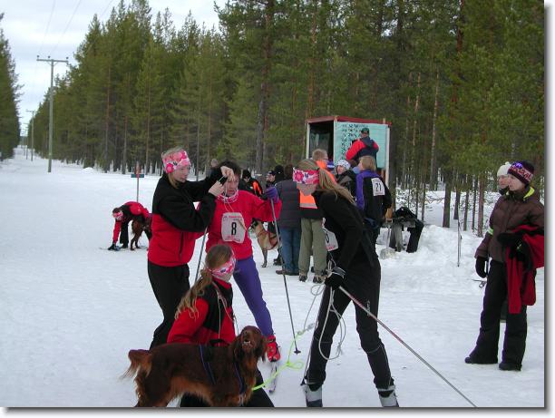 N�sta bild