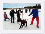 IMG_5627 * 2129 x 1536 * (2.34MB)