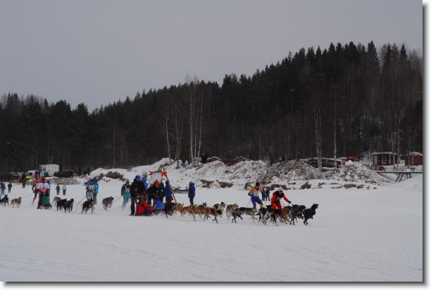 N�sta bild