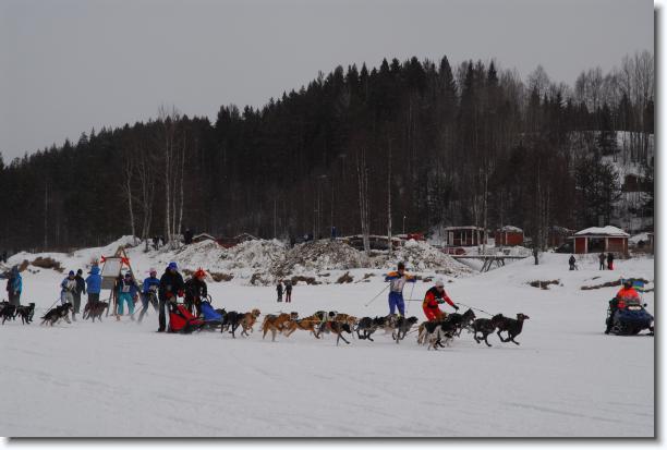 N�sta bild