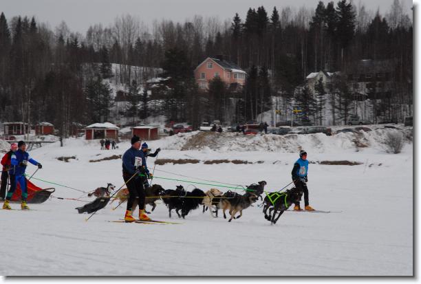 N�sta bild