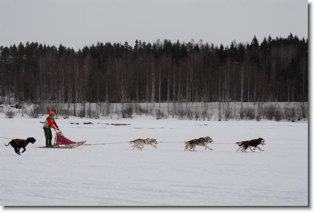 N�sta bild