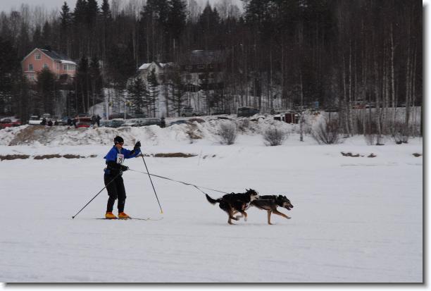 N�sta bild