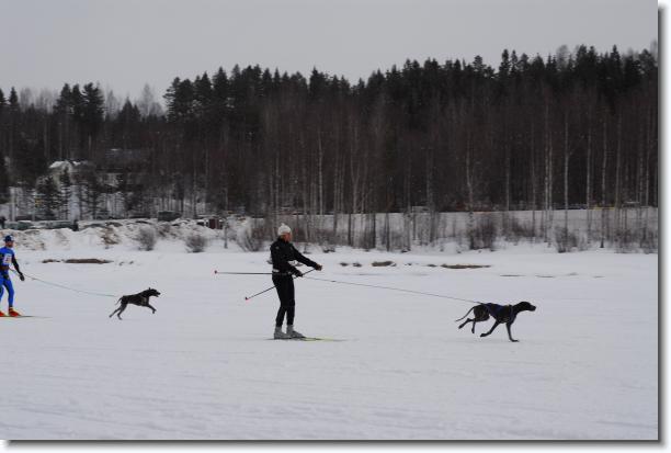 N�sta bild